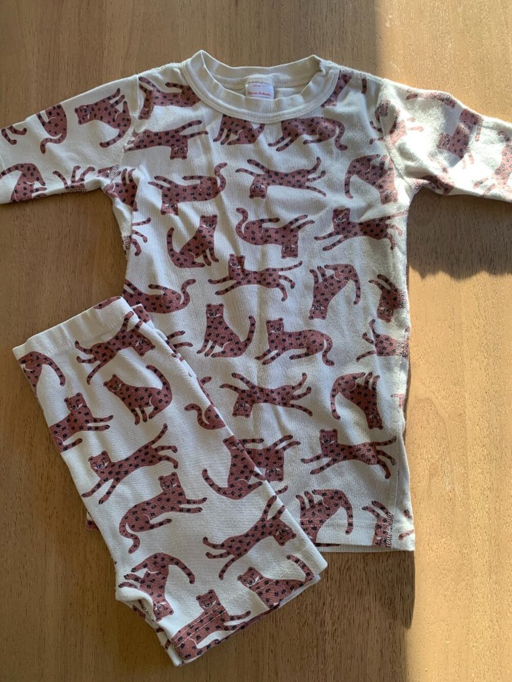 Hanna Andersson PJs (Set)